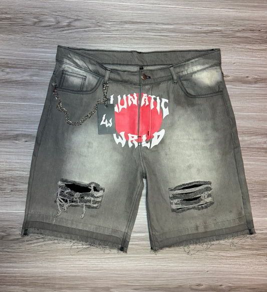 Lunatic Wrld Japanese Denim Jorts